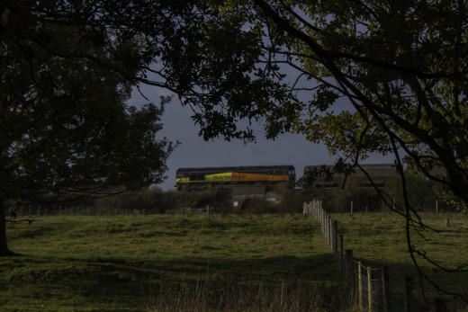794099 (a): :2048x1365